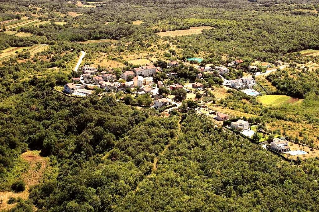 Villa Rustica Buje Eksteriør billede
