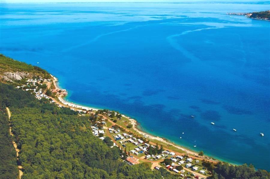 Villa Rustica Buje Eksteriør billede
